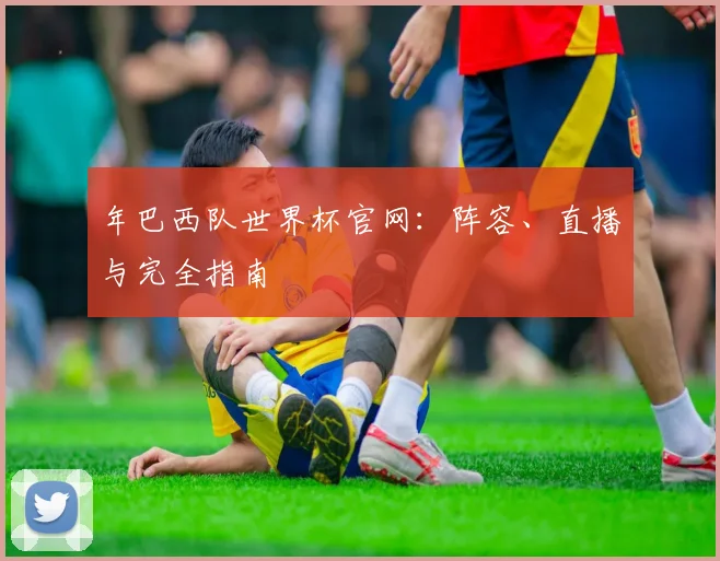 年巴西队世界杯官网：阵容、直播与完全指南