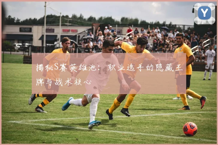揭秘S赛英雄池：职业选手的隐藏王牌与战术核心